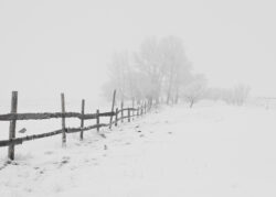 Canva - Black Wooden Fence - Verlichting van Toen