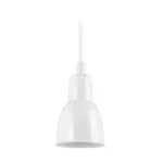 Ebolicht hanglamp Forma - Verlichting van Toen