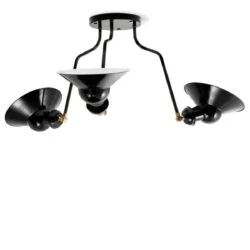Ebolicht-plafondlamp-regensburg-III - Verlichting van Toen