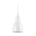 Ebolicht hanglamp Forma - Verlichting van Toen
